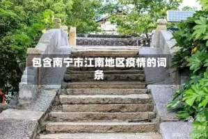 包含南宁市江南地区疫情的词条