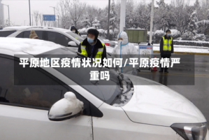 平原地区疫情状况如何/平原疫情严重吗