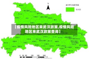 【疫情风险地区来武汉政策,疫情风险地区来武汉政策查询】