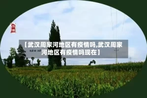 【武汉周家河地区有疫情吗,武汉周家河地区有疫情吗现在】