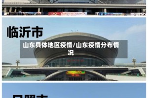 山东具体地区疫情/山东疫情分布情况