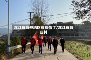 双江有哪些地区有疫情了/双江有哪些村