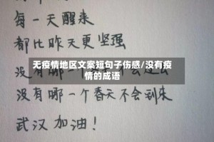 无疫情地区文案短句子伤感/没有疫情的成语