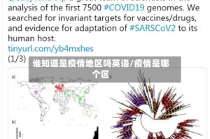谁知道是疫情地区吗英语/疫情是哪个区