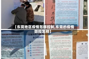 【东莞地区疫情怎样控制,东莞的疫情防控怎样】