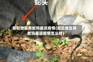 密云地区有蛇吗最近疫情(密云地区有蛇吗最近疫情怎么样)