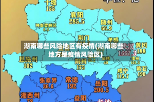 湖南哪些风险地区有疫情(湖南哪些地方是疫情风险区)
