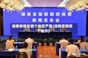 湖南疫情在哪个地区严重(湖南疫情那个地方)
