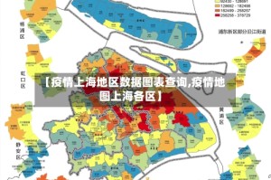 【疫情上海地区数据图表查询,疫情地图上海各区】