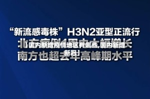 【国内新增疫情地区有哪些,国内新增新冠】