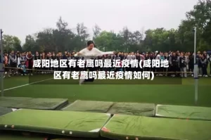 咸阳地区有老鹰吗最近疫情(咸阳地区有老鹰吗最近疫情如何)