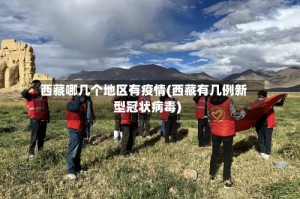 西藏哪几个地区有疫情(西藏有几例新型冠状病毒)