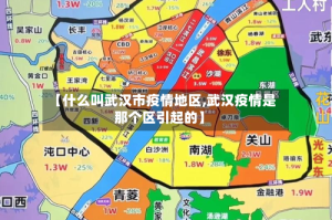 【什么叫武汉市疫情地区,武汉疫情是那个区引起的】