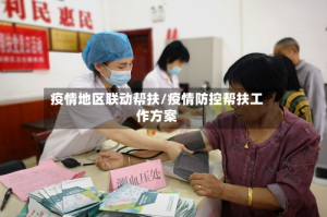 疫情地区联动帮扶/疫情防控帮扶工作方案