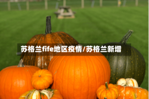苏格兰fife地区疫情/苏格兰新增