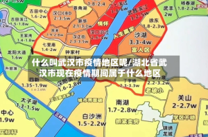 什么叫武汉市疫情地区呢/湖北省武汉市现在疫情期间属于什么地区