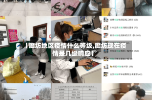 【廊坊地区疫情什么等级,廊坊现在疫情是几级响应】