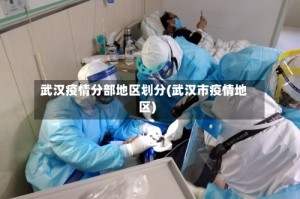 武汉疫情分部地区划分(武汉市疫情地区)