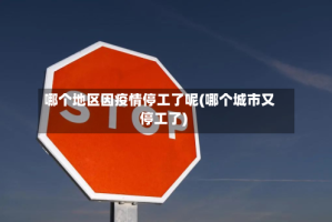 哪个地区因疫情停工了呢(哪个城市又停工了)