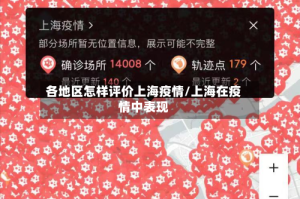 各地区怎样评价上海疫情/上海在疫情中表现