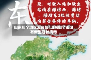 山东那个地区没疫情/山东哪个市没有新型冠状病毒