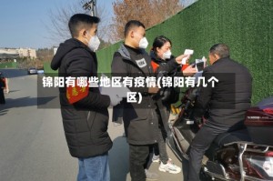 锦阳有哪些地区有疫情(锦阳有几个区)
