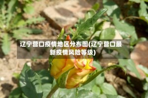 辽宁营口疫情地区分布图(辽宁营口最新疫情风险等级)