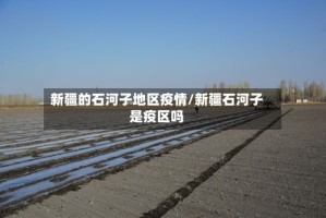 新疆的石河子地区疫情/新疆石河子是疫区吗