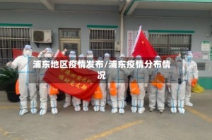 浦东地区疫情发布/浦东疫情分布情况