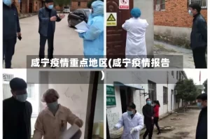 咸宁疫情重点地区(咸宁疫情报告)