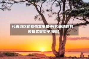代表地区的疫情文案句子(代表地区的疫情文案句子简短)