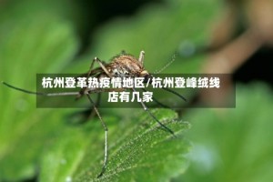 杭州登革热疫情地区/杭州登峰绒线店有几家