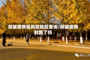 郯城疫情低风险地区查询/郯城疫情封路了吗