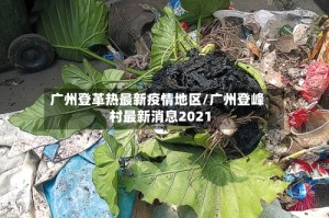 广州登革热最新疫情地区/广州登峰村最新消息2021
