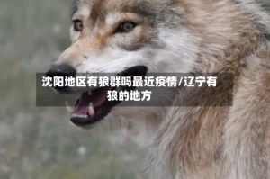 沈阳地区有狼群吗最近疫情/辽宁有狼的地方