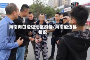 海南海口澄迈地区疫情/海南澄迈县情况