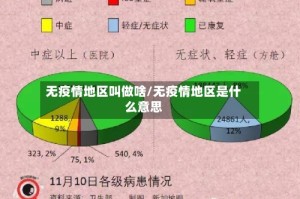 无疫情地区叫做啥/无疫情地区是什么意思