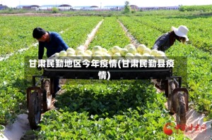 甘肃民勤地区今年疫情(甘肃民勤县疫情)