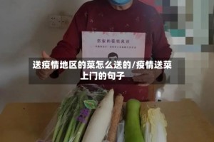 送疫情地区的菜怎么送的/疫情送菜上门的句子