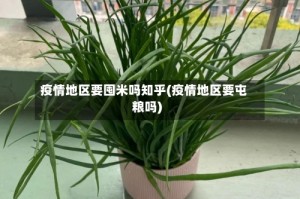 疫情地区要囤米吗知乎(疫情地区要屯粮吗)