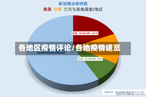 各地区疫情评论/各地疫情速览