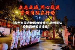 【贵州省周边地区疫情情况,贵州周边疫情最新数据消息】