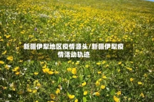 新疆伊犁地区疫情源头/新疆伊犁疫情活动轨迹