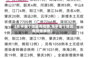 【东平哪个地区有疫情,东平哪个地区有疫情病例】