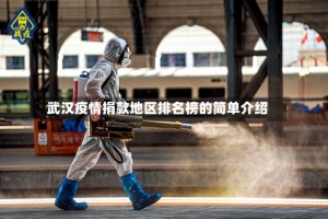 武汉疫情捐款地区排名榜的简单介绍