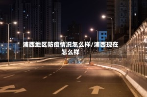 浦西地区防疫情况怎么样/浦西现在怎么样