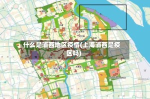 什么是浦西地区疫情(上海浦西是疫区吗)