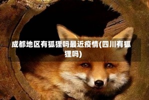 成都地区有狐狸吗最近疫情(四川有狐狸吗)