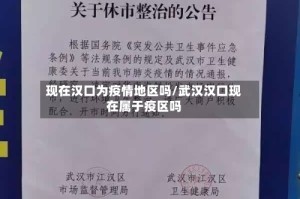 现在汉口为疫情地区吗/武汉汉口现在属于疫区吗