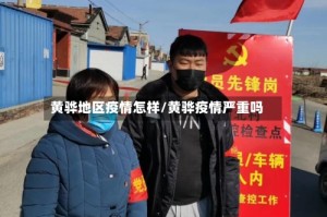 黄骅地区疫情怎样/黄骅疫情严重吗